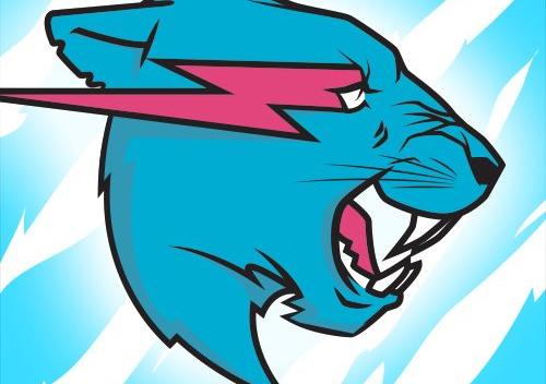 Wie viel Follower hat Mr Beast auf Instagram